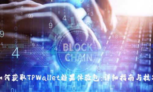 如何获取TPWallet糖果体验包：详细指南与技巧
