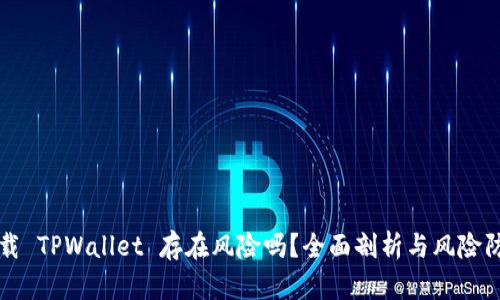 大陆下载 TPWallet 存在风险吗？全面剖析与风险防范指南