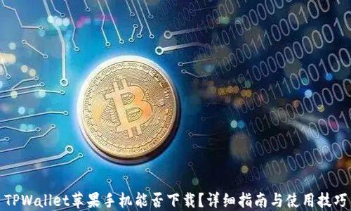 
TPWallet苹果手机能否下载？详细指南与使用技巧