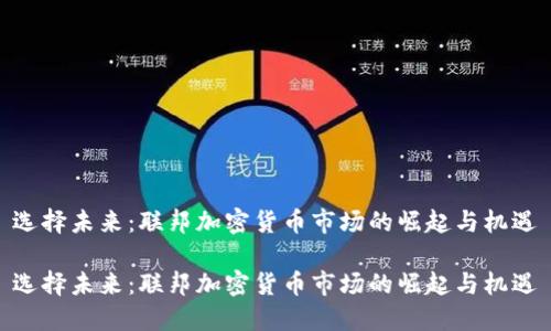 选择未来：联邦加密货币市场的崛起与机遇

选择未来：联邦加密货币市场的崛起与机遇