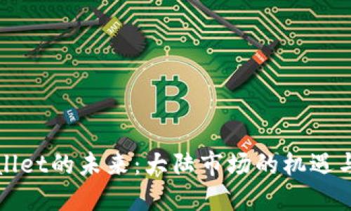 TPWallet的未来：大陆市场的机遇与挑战
