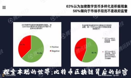   
探索本聪的世界：比特币区块链背后的秘密