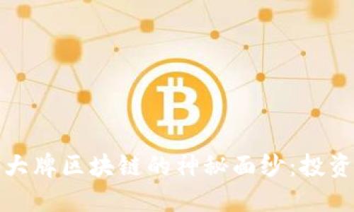 揭开最新大牌区块链的神秘面纱：投资未来之路